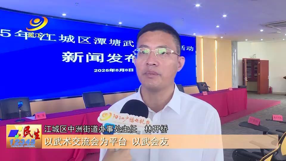 人制作漆染, 市级非遗项