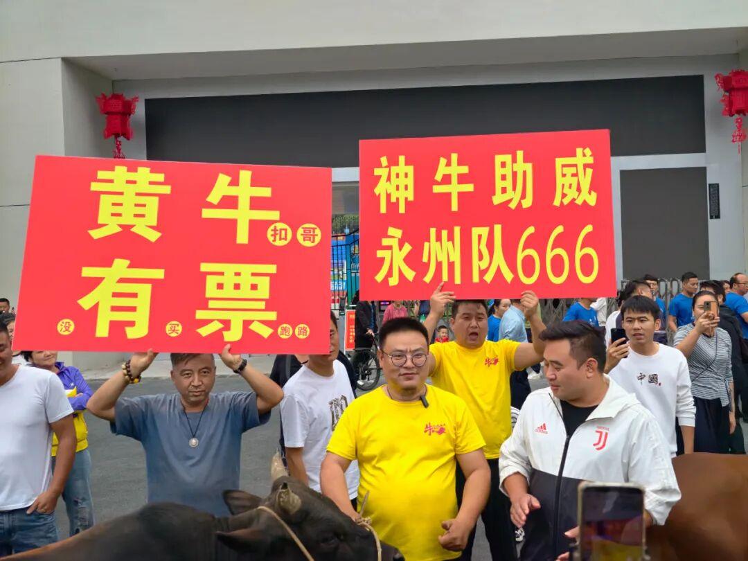 黄牛有票, AA, tenan