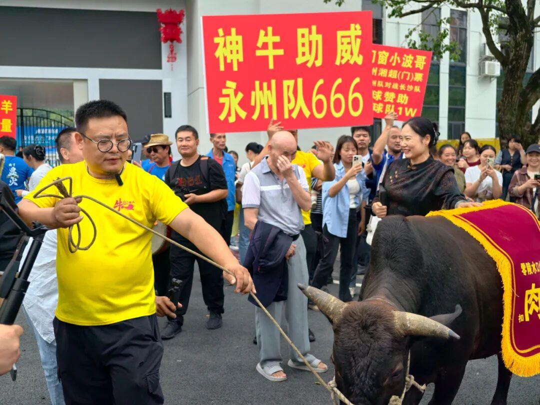 陈斌, img, 黄牛扣哥没